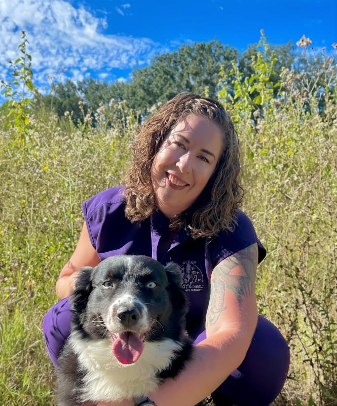 Nicole Mayne, DVM, Owner