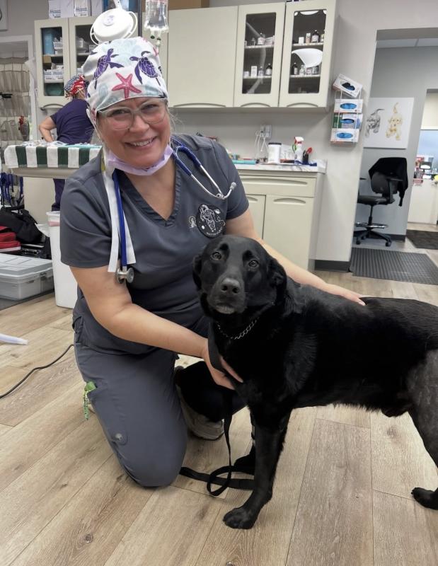 Christine  Hadesty , Veterinary Nurse, CVT